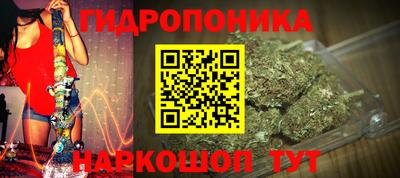 эйфоретик Обь