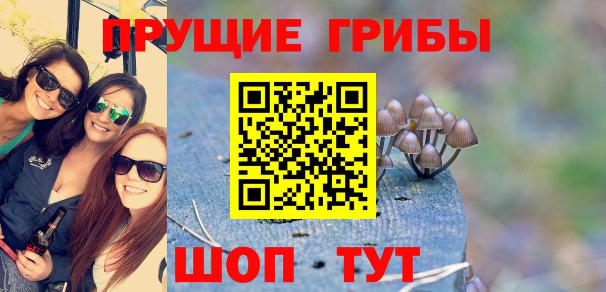 Тобольск  Псилоцибиновые грибы мицелий  Вход с VPN 